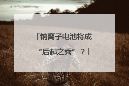 钠离子电池将成“后起之秀”？
