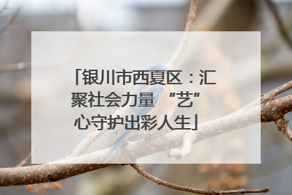银川市西夏区：汇聚社会力量 “艺”心守护出彩人生