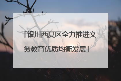银川西夏区全力推进义务教育优质均衡发展