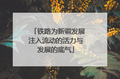 铁路为新疆发展注入流动的活力与发展的底气