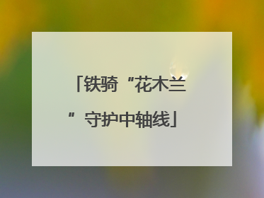 铁骑“花木兰”守护中轴线