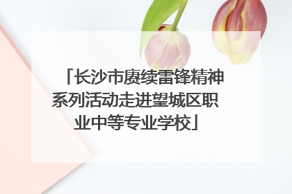 长沙市赓续雷锋精神系列活动走进望城区职业中等专业学校