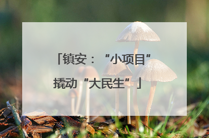 镇安：“小项目”撬动“大民生”