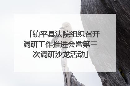 镇平县法院组织召开调研工作推进会暨第三次调研沙龙活动