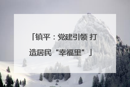 镇平：党建引领 打造居民“幸福里”