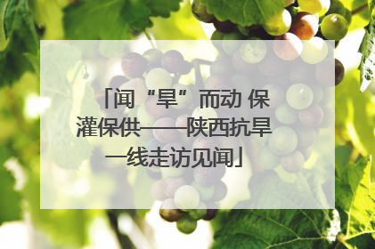 闻“旱”而动 保灌保供——陕西抗旱一线走访见闻