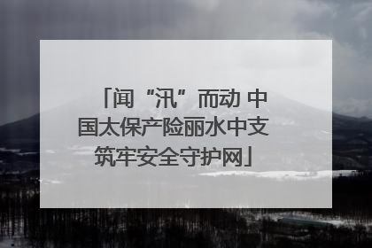 闻“汛”而动 中国太保产险丽水中支筑牢安全守护网