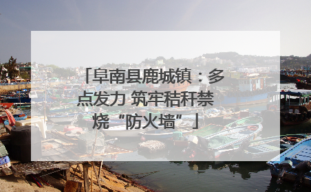 阜南县鹿城镇：多点发力 筑牢秸秆禁烧“防火墙”