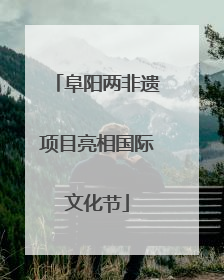 阜阳两非遗项目亮相国际文化节