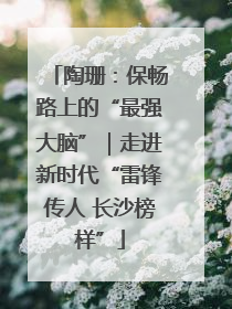 陶珊：保畅路上的“最强大脑”｜走进新时代“雷锋传人 长沙榜样”