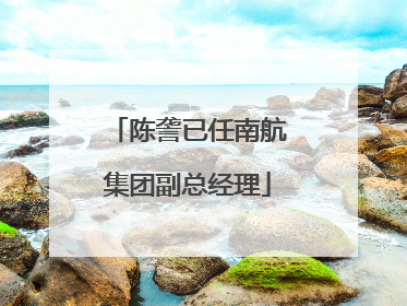 陈詟已任南航集团副总经理