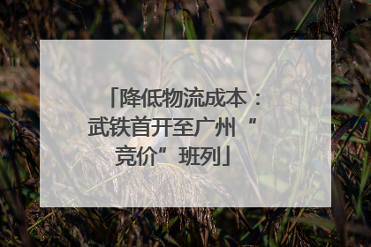 降低物流成本：武铁首开至广州“竞价”班列