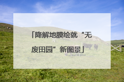 降解地膜绘就“无废田园”新图景