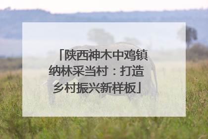 陕西神木中鸡镇纳林采当村：打造乡村振兴新样板
