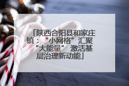 陕西合阳县和家庄镇：“小网格”汇聚“大能量” 激活基层治理新动能