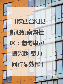 陕西合阳县新池镇南沟社区：葡萄串起振兴路 聚力同行显效能