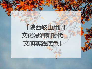 陕西岐山用周文化浸润新时代文明实践底色
