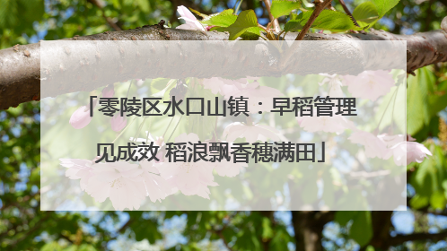 零陵区水口山镇：早稻管理见成效 稻浪飘香穗满田