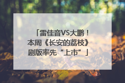 雷佳音VS大鹏！本周《长安的荔枝》剧版率先“上市”