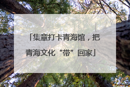 集章打卡青海馆，把青海文化“带”回家