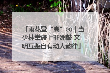 雨花登“高”③｜当少林拳碰上非洲鼓 文明互鉴自有动人韵律