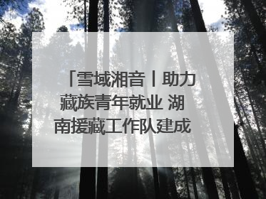 雪域湘音丨助力藏族青年就业 湖南援藏工作队建成西藏首个清洁能源装备园