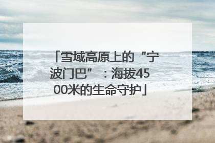 雪域高原上的“宁波门巴”：海拔4500米的生命守护