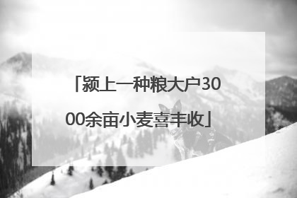 颍上一种粮大户3000余亩小麦喜丰收