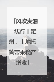 风吹麦浪一线行丨定州：土地托管带来稳产增收