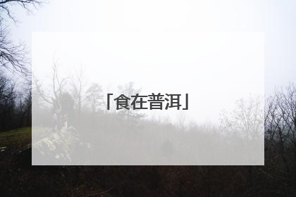 食在普洱