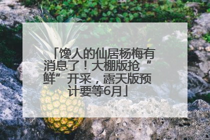 馋人的仙居杨梅有消息了！大棚版抢“鲜”开采，露天版预计要等6月
