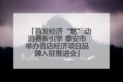 首发经济“燃”动消费新引擎 泰安市举办首店经济项目品牌入驻推进会