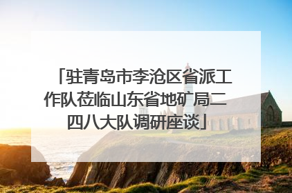 驻青岛市李沧区省派工作队莅临山东省地矿局二四八大队调研座谈