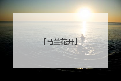 马兰花开