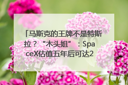 马斯克的王牌不是特斯拉？“木头姐”：SpaceX估值五年后可达2.5万亿美元！