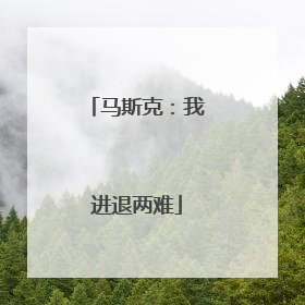 马斯克：我进退两难