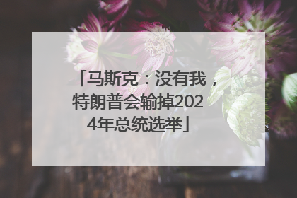 马斯克：没有我，特朗普会输掉2024年总统选举