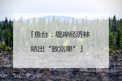 鱼台：堤岸经济林结出“致富果”