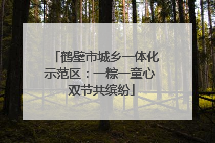 鹤壁市城乡一体化示范区：一粽一童心 双节共缤纷