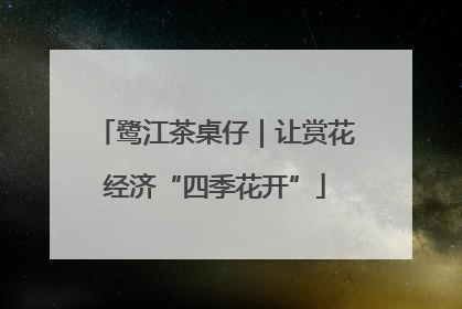 鹭江茶桌仔｜让赏花经济“四季花开”