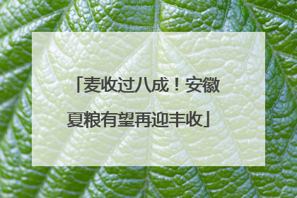 麦收过八成！安徽夏粮有望再迎丰收