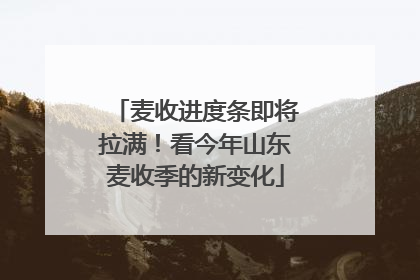 麦收进度条即将拉满！看今年山东麦收季的新变化