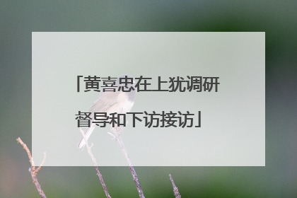 黄喜忠在上犹调研督导和下访接访