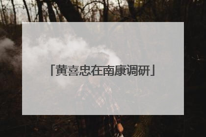黄喜忠在南康调研