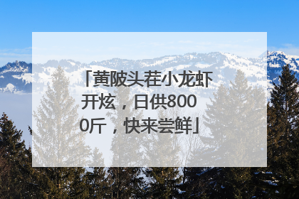 黄陂头茬小龙虾开炫，日供8000斤，快来尝鲜