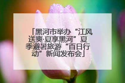 黑河市举办“江风送爽·夏享黑河”夏季避暑旅游“百日行动”新闻发布会