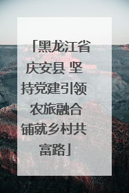 黑龙江省庆安县 坚持党建引领 农旅融合铺就乡村共富路