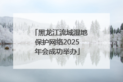 黑龙江流域湿地保护网络2025年会成功举办