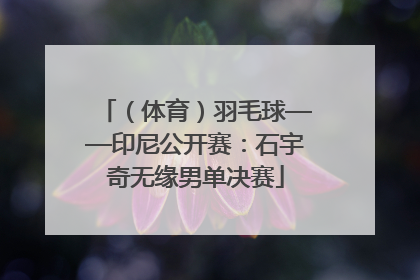 （体育）羽毛球——印尼公开赛：石宇奇无缘男单决赛