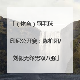 （体育）羽毛球——印尼公开赛：陈柏阳/刘毅无缘男双八强